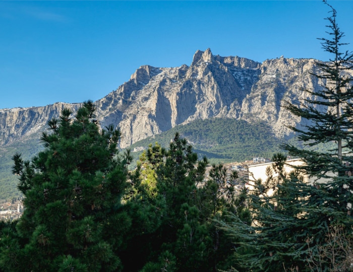 Стандарт-север-эконом 2-х местный - Пансионат «Ай-Тодор-Юг»